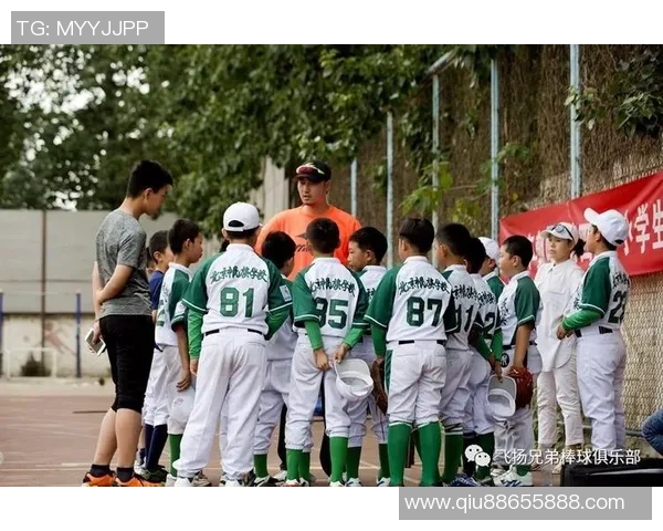 杭州乒乓球队的奋斗与荣耀：城市联赛中的崛起与突破之路