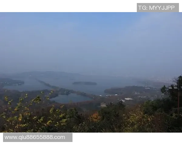 杭州羽毛球队阵地战革新探索与实践全景解析 杭州羽毛球队阵地战革新探索与实践全景解析