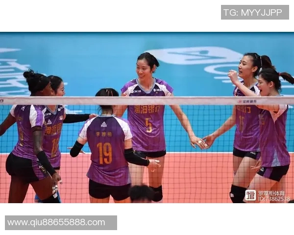 武汉排球队在大师赛中的默契配合与战术执行分析