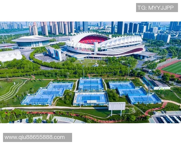 武汉网球队团队协作的独特优势与其他球队的深度对比分析